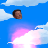 Flappy Tayles