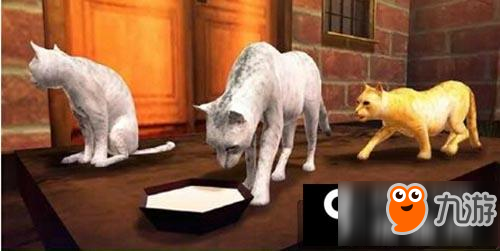 家猫模拟器怎么玩 家猫模拟器玩法技巧分享
