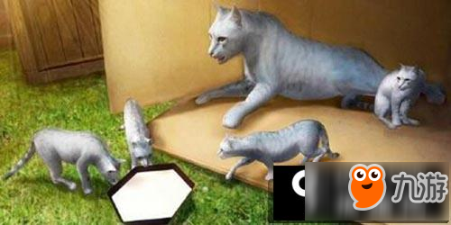 家猫模拟器怎么玩 家猫模拟器玩法技巧分享