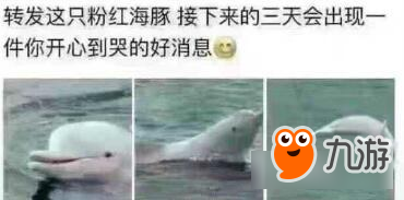 如果你玩抽卡游戏 这份抽卡玄学请保留