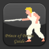 Guide Prince of Persia