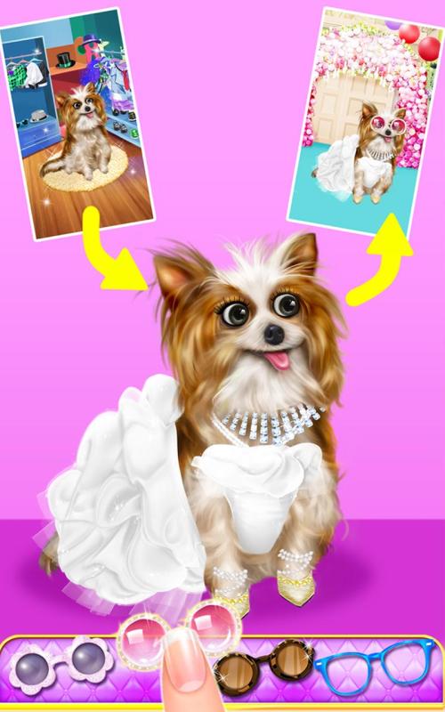  "Pawsitively Pampered Pet Salon: Transforming Your Furry Friends into Royal Canines"