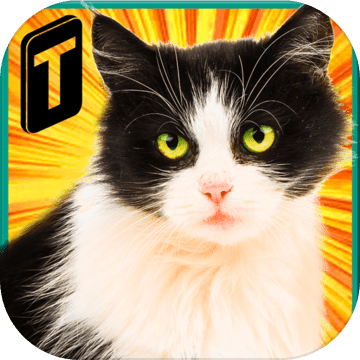 Street Cat Sim 2016