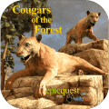 Cougars of the Forest怎么下载到电脑