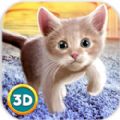 家猫3D