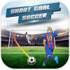 Shoot Goal Soccer league 2017