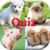 Pics Animals Quiz