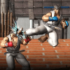 Karate Fighter - Taekwondo Kung fu Tiger Combat 3D