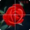 Free Flower puzzle by FEI占内存小吗