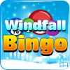 Windfall Bingo如何升级版本