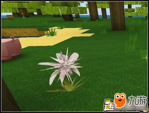 迷你世界灰色龙舌兰在哪找 灰色龙舌兰怎么做