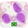 Questionário de Hematologia快速下载