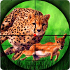 Cheetah Hunter 2016 - 猎豹猎人费流量吗