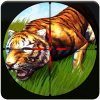 Wild Animal Hunting Game: Forest Attack Sim 2017终极版下载