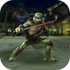 Turtle Ninja Shadow - A Superhero Kung Fu Fighter