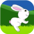 Running Rabbit