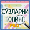 Сўзларни топинг Pro无法打开