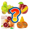 Fruits Name Guess Quiz Game