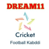 DREAM11 ALL SPORT INFO