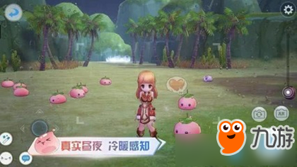 《仙境传说RO爱如初见》野外随机事件完成方法