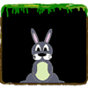 Running Bunny Escape Revenge!版本更新