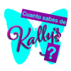 Cuanto sabes de Kally's破解版下载