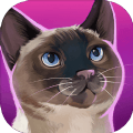 我为可爱小猫准备的猫舍iphone版下载