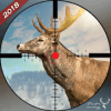 Deer Hunting 2019 – Jungle Hunter 3D无法打开