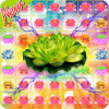 Lotus Garden Flowers - New Blossom Crush Game玩不了怎么办