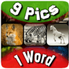 9 Pics 1 Word