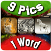 9 Pics 1 Word版本更新