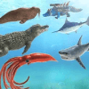 Sea Animal Kingdom Battle Simulator: Sea Monster版本更新