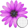 Flower Art Coloring By Number - Pixel怎么下载