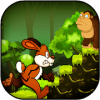 Jungle Bunny Run