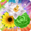 Flower Crush Match 3 - New Blossom Crush Garden官方下载