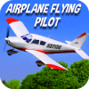 Airplane Flying Pilot Flight Plane Drive 2019
