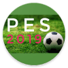 PES 19 :MANUAL