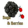 Bugs & Berries