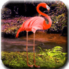 Flamingo Forest Escape