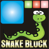 Snake Blocks Clash官方版免费下载