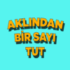 Aklından Bir Sayı Tut