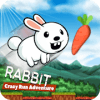 Rabbit Crazy Run- Bunny Adventure