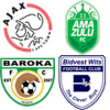PSL Logo Quiz - Mzansi footbal