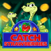 Catch the Strawberry官方下载