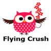 Flying Crush无法打开