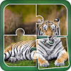 Tiger Jigsaw Puzzle