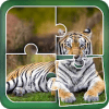 Tiger Jigsaw Puzzle破解版下载