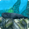 Whale Sim - Sea Eater