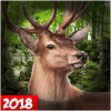 American Deer Hunter 2018:FPS Sniper Shooter破解版下载