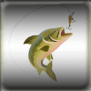 Fishing Game 2019绿色版下载